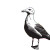 Seagull Linocut Vinyl Car Decal Sticker – Waterproof & UV-Resistant 8"