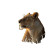 Lion With Cubs Vinyl Car Decal Sticker – Waterproof & UV-Resistant 8"