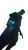 Cyberpunk Detective Vinyl Car Decal Sticker – Waterproof & UV-Resistant 8"