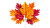 Autumn Leaf Macro Vinyl Car Decal Sticker – Waterproof & UV-Resistant 8"
