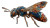 Biomechanical Pollinator Swarm Vinyl Car Decal Sticker – Waterproof & UV-Resistant 8"