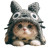 Cat In Totoro Hat Vinyl Car Decal Sticker – Waterproof & UV-Resistant 8"