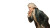 Revolutionary Parliament Speech Vinyl Car Decal Sticker – Waterproof & UV-Resistant 