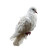 White Dove Painting Vinyl Car Decal Sticker – Waterproof & UV-Resistant 