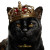 Cat The Ruler Vinyl Car Decal Sticker – Waterproof & UV-Resistant 