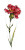 Red Wild Flower Vinyl Car Decal Sticker – Waterproof & UV-Resistant 