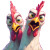 Wacky Cartoon Hens Vinyl Car Decal Sticker – Waterproof & UV-Resistant 