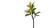 Young Tree Sprouting Vinyl Car Decal Sticker – Waterproof & UV-Resistant 