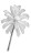 Palm Photography Vinyl Car Decal Sticker – Waterproof & UV-Resistant 