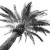 Palm Tree Texture V2 Vinyl Car Decal Sticker – Waterproof & UV-Resistant 