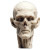 Zombie Head Vinyl Car Decal Sticker – Waterproof & UV-Resistant 