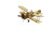 Propeller Aircraft Adventure Vinyl Car Decal Sticker – Waterproof & UV-Resistant 