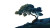 Windswept Tree Vinyl Car Decal Sticker – Waterproof & UV-Resistant 