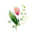 Minimalist Tulip Vinyl Car Decal Sticker – Waterproof & UV-Resistant 