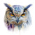 Watercolor Owl Painting Vinyl Car Decal Sticker – Waterproof & UV-Resistant 