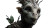 Mystical Forest Guardian V4 Vinyl Car Decal Sticker – Waterproof & UV-Resistant 