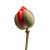 Closed Poppy Vinyl Car Decal Sticker – Waterproof & UV-Resistant 