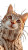Cat In Sweater V2 Vinyl Car Decal Sticker – Waterproof & UV-Resistant 