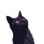 80S Anime Cat Vinyl Car Decal Sticker – Waterproof & UV-Resistant 