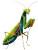 Praying Mantis V2 Vinyl Car Decal Sticker – Waterproof & UV-Resistant 