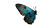 Exotic Butterfly V2 Vinyl Car Decal Sticker – Waterproof & UV-Resistant 