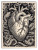 Anatomical Heart Snakes Vinyl Car Decal Sticker – Waterproof & UV-Resistant 