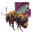 Stylized Comic Bee Vinyl Car Decal Sticker – Waterproof & UV-Resistant 