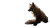 Majestic Golden Fox Vinyl Car Decal Sticker – Waterproof & UV-Resistant 