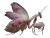 Orchid Mantis Vinyl Car Decal Sticker – Waterproof & UV-Resistant 
