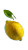 Vibrant Lemon Splash Vinyl Car Decal Sticker – Waterproof & UV-Resistant 