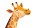 Smiling Giraffe Cartoon Vinyl Car Decal Sticker – Waterproof & UV-Resistant 