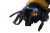Bumblebee With Fire Vinyl Car Decal Sticker – Waterproof & UV-Resistant 