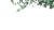 Eucalyptus Branches V2 Vinyl Car Decal Sticker – Waterproof & UV-Resistant 
