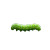 Green Caterpillar Vinyl Car Decal Sticker – Waterproof & UV-Resistant 