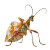 Floral Insect Specimen Vinyl Car Decal Sticker – Waterproof & UV-Resistant 