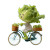 Lettuce On Bike Vinyl Car Decal Sticker – Waterproof & UV-Resistant 