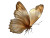 Golden Butterfly Vinyl Car Decal Sticker – Waterproof & UV-Resistant 
