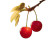 Maraschino Cherries Vinyl Car Decal Sticker – Waterproof & UV-Resistant 