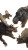 Dinosaur Battle Royale Vinyl Car Decal Sticker – Waterproof & UV-Resistant 