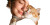 Woman Petting Cat V3 Vinyl Car Decal Sticker – Waterproof & UV-Resistant 