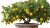 Lemon Tree Close-Up Vinyl Car Decal Sticker – Waterproof & UV-Resistant 
