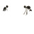 Rising Skeletons Graveyard Vinyl Car Decal Sticker – Waterproof & UV-Resistant 