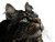 Cat V110 Vinyl Car Decal Sticker – Waterproof & UV-Resistant 