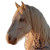 Sparkling Diamond Horse Vinyl Car Decal Sticker – Waterproof & UV-Resistant 