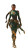 Desert Warrior Jasmine Vinyl Car Decal Sticker – Waterproof & UV-Resistant 