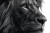 Scratch Board Lion Vinyl Car Decal Sticker – Waterproof & UV-Resistant 