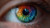 Rainbow Iris Eye Vinyl Car Decal Sticker – Waterproof & UV-Resistant 