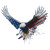 Patriotic Eagle Flight V2 Vinyl Car Decal Sticker – Waterproof & UV-Resistant 