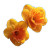 Yellow Daffodils Dew Vinyl Car Decal Sticker – Waterproof & UV-Resistant 