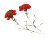 Red Carnations Postcard Vinyl Car Decal Sticker – Waterproof & UV-Resistant 